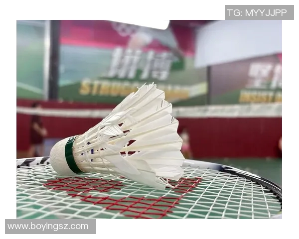 深圳羽毛球队的节奏与发展探讨聚焦羽毛球运动的未来与挑战